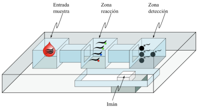 Diagrama del biosensor